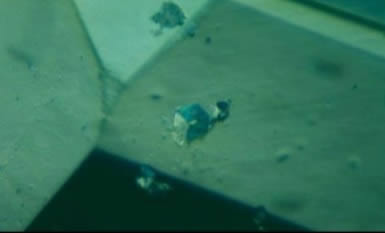 Calcite crystal inclusions