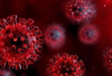 Coronavirus