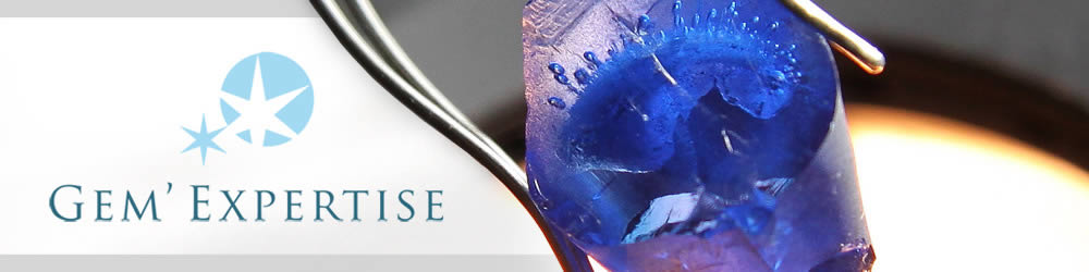 Banni&egrave;re pour un expert en diamants &agrave; Nice