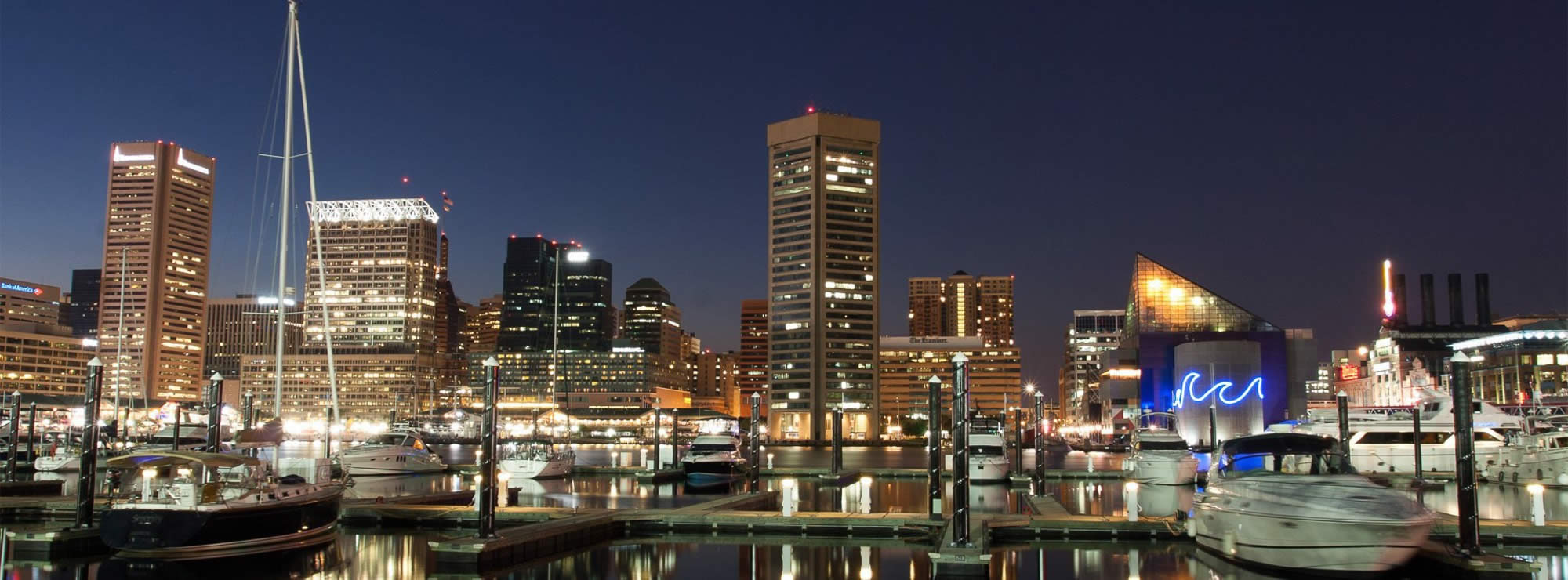 Baltimore head image