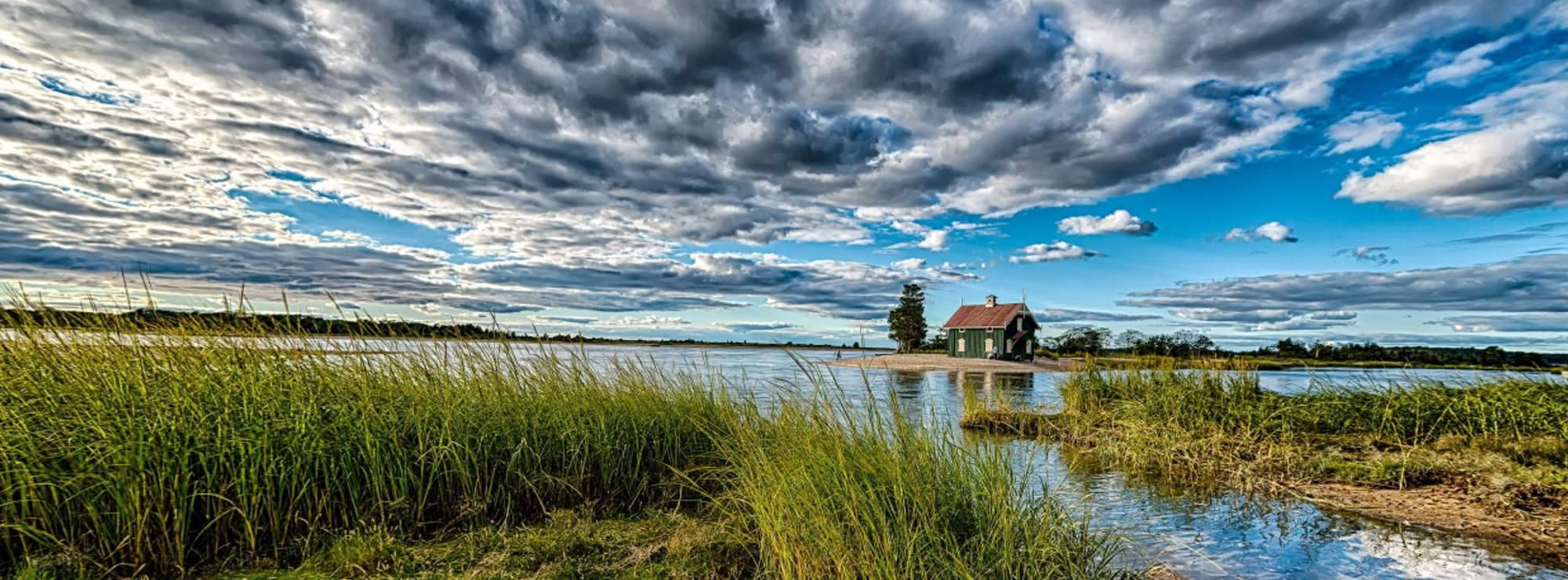 Long Island head image