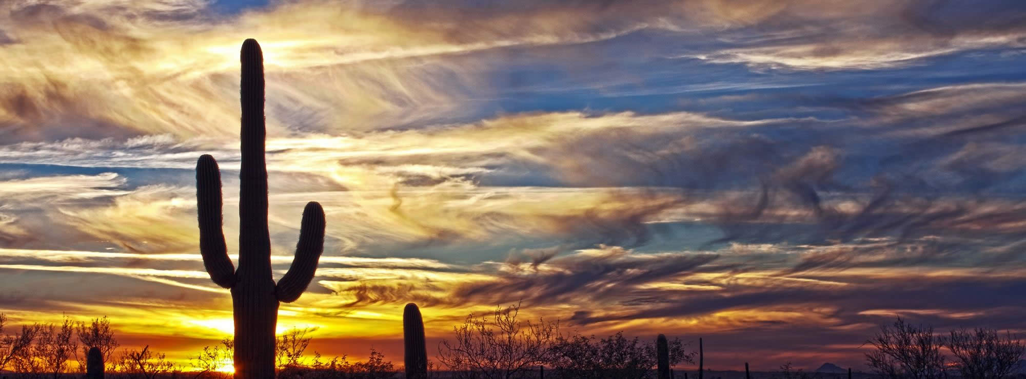 Tucson Jewelry specialists