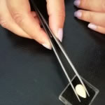 Ms Scuderini is a fully-qualified Gemmologist and can perform gemstone testing and grading on loose gemstones and diamonds, as well as mounted gems.